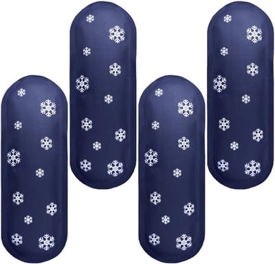 Set van 4 Koelelementen voor Koelboxen
