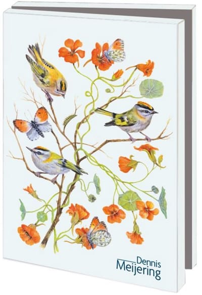 Kaartenmapje 10 stuks met enveloppen – Birds & Flowers, Dennis Meijering