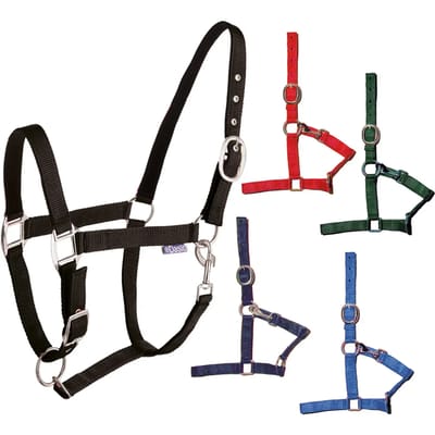 Nylon halster met dubbele verstelling Tattini
