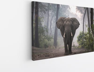 Saammp Canvas Schilderij - Olifant tijdens zonsopgang in het bos - Afrika - Dieren - 45x30 - Foto op canvas - Wanddecoratie - muurdecoratie Woonkamer - Slaapkamer decoratie - Canvas Print