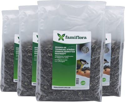 Famiflora Gestreepte Zonnebloempitten 10kg (4x 2.5kg) - Bulk Wintervoer - Ongepeld - Natuurlijke Snack Tuinvogels - Energierijk