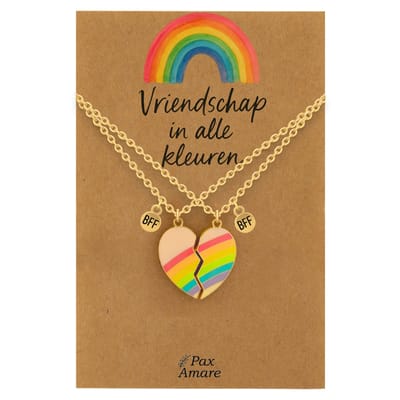 BFF Ketting voor 2 'Vriendschap in alle kleuren' - Magnetisch Regenboog Hartje - Vriendschapsketting op Cadeau Kaartje - 45cm + 5cm verstelbaar - Goudkleurig - Best Friends Hanger - Pax Amare