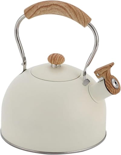Waterketel Roestvrijstaal - Theeketel Kookplaat - Water Koken - Luid Fluitend Geluid - 2.5 Liter - Zilver