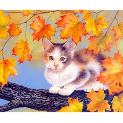 Diamant borduurwerk  Maple kitten  5D Diamond schilderij Cross Stitch Diamond Mozaïek Craft 20X30CM gray