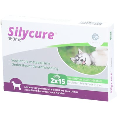 Silycure® 160 mg 2x15 Tabletten
