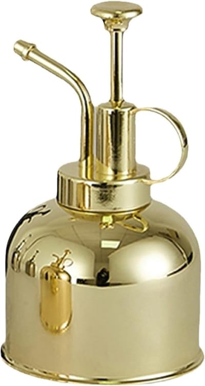 Roestvrij staal gieter - Kleine gieter - Nauwkeurig water geven - Roestbestendig materiaal - 30 x 20 x 3 cm