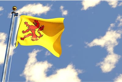 Zuid Hollandse Vlag 200x300cm