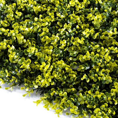 TENAX 3D Paneel Buxus - 0,5 x 1 m, Groen Geel