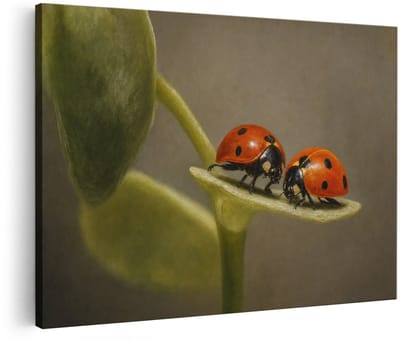 Artaza Canvas Schilderij Lieveheersbeestjes Op Blad - Natuur - Groen - 90x60 cm - Wanddecoratie Woonkamer - Schilderijen - Muurdecoratie