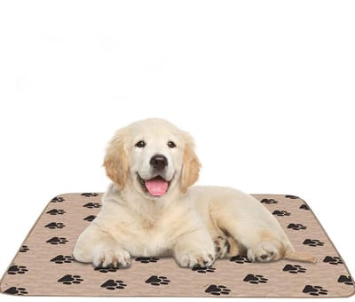 VT Goods - Wasbare Hond Incontinentie Pad - Absorberend - Waterdicht - 80 x 90 cm - Bruin - Puppy Plasmat - Geschikt voor Honden en Katten - Perfect..