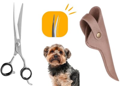 Professor Q Professionele Up Gebogen Hondenschaar – Zwart, 7.5 Inch (19.5 cm) – Ideaal voor Langharige Honden + Luxe Lederen Etui – 16,5 cm – Brons