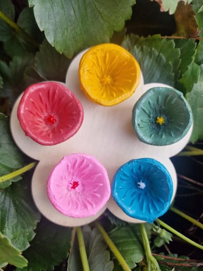 Bijen Drink Cups - Bee Drinking Cups - Waterbak voor Insecten - Insect Watercups - Gardeninsects - Drink Schaal - Vlinder - Butterfly - Bij - Hommel - Kleine Insecten - Fountain Cup - Flower Shape - Pollinator