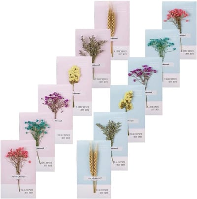 Set van 12 Handgemaakte Wenskaarten met Gedroogde Bloemen voor Verjaardag, Bruiloft en Kerstmis (160x90mm, 6 Verschillende Ontwerpen)