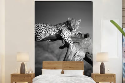 Behang - Fotobehang Panter - Boom - Dieren - Zwart - Wit - Breedte 225 cm x hoogte 350 cm