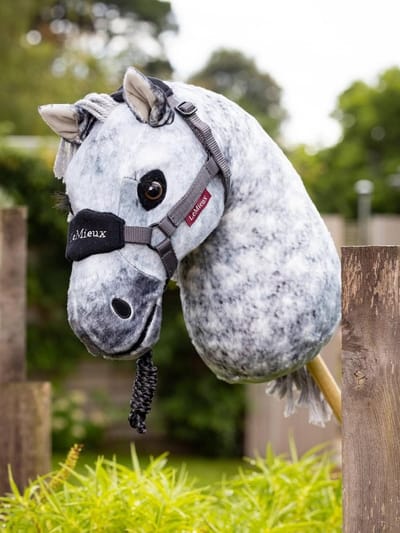 Hobby Horse Speelgoedpaard met Pluche Hoofd en Stok