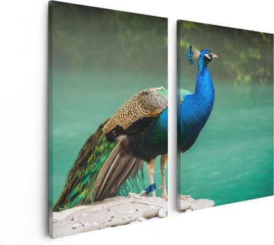 Artaza Canvas Schilderij Tweeluik Kleurrijke Pauw Bij Het Water - 80x60 - Foto Op Canvas - Canvas Print