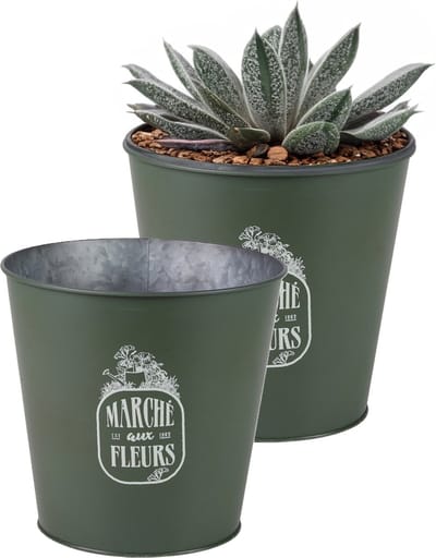Sunnydays Emmer/plantenpot/bloempot - 2x - zink - legergroen - D23 x H22 cm