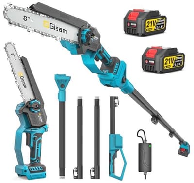 Mini-kettingzaag met telescoopstang - 2-in-1 voor snoeien en zagen