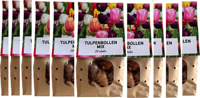 300 tulpenbollen, Tulpenmix! 15 zakjes met 20 tulpenbollen, bloembollen diverse kleuren