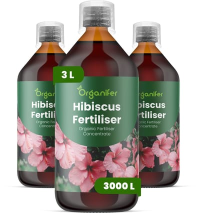 Vloeibare Meststof Voor Hibiscus 3X1 L Voor 3000 L - Npk 2-1-8 - Krachtige Sterke Bloei - Kleurintensiteit - Bloeiduur - Sterke Wortels - Nutriëntenopname - Overvloedige Bloei Geschikt Voor Tropische Pot- En Tuinhibiscus - Organifer