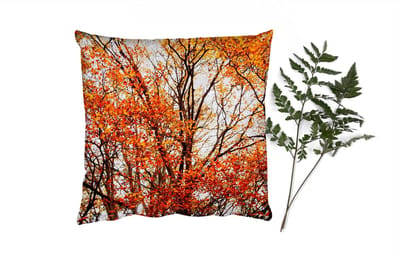 Sierkussens - Kussentjes Woonkamer - 45x45 cm - Bos - Herfst - Seizoenen