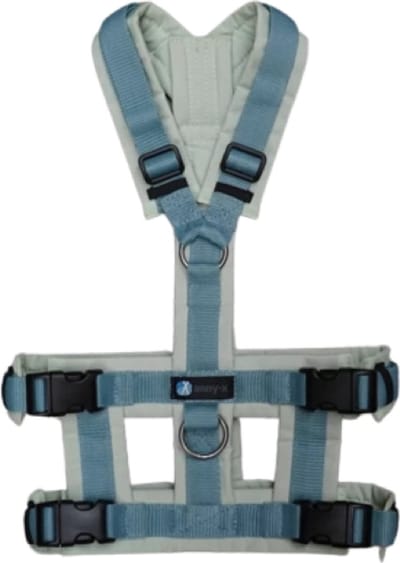Annyx hondentuig Safety FUN Limited Edition Salvia-Duifblauw maat S-geschikt voor kleine-middelgrote honden-Borstomvang 54 tot 62cm -taille omvang 50 tot 54 cm -onderborstband 31cm