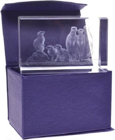 3D Glasgravure Stokstaartjes Familie – 8 x 5 x 5 cm – Inclusief Cadeauverpakking