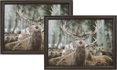 Mars & More Schoottafel - 2x - hert print - 43 x 32 cm - laptray - schootkussen - schootblad - Kat/poes dieren artikelen - Dienblad