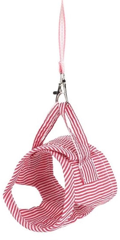 Dailygoody - Squirrel Vest Harness - Dierenharnas - Comfortabel en