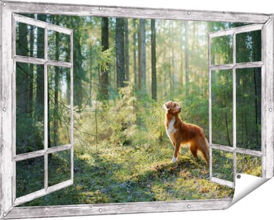 Gards Tuinposter Doorkijk Retriever Hond in het Bos met Zon - 150x100 cm - Tuindoek - Tuindecoratie - Wanddecoratie buiten - Tuinschilderij