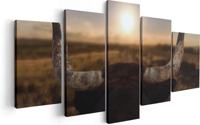 Artaza Canvas Schilderij Vijfluik Stierenhoorns Bij Zonsondergang - 100x50 - Foto Op Canvas - Canvas Print