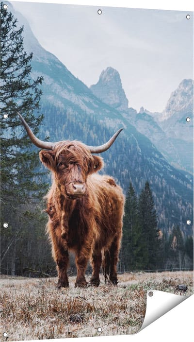 Gards Tuinposter Schotse Hooglander Koe in de Bergen - 80x120 cm - Tuindoek - Tuindecoratie - Wanddecoratie buiten - Tuinschilderij
