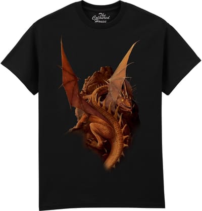 Draak Earth And Fire The Coloured House T-shirt M