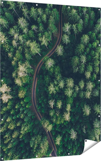 Gards Tuinposter Weg Door Bos met Bomen - Bovenaanzicht - 120x160 cm - Tuindoek - Tuindecoratie - Wanddecoratie buiten - Tuinschilderij
