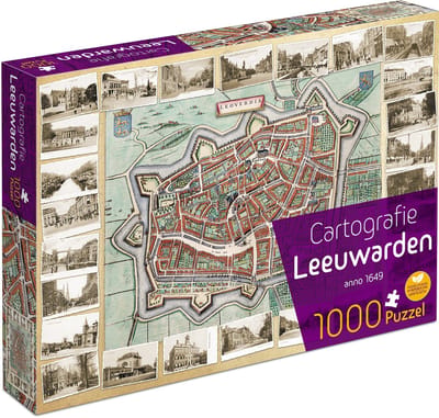 Cartografie Leeuwarden (1000) - Tucker's Fun Factory Legpuzzel