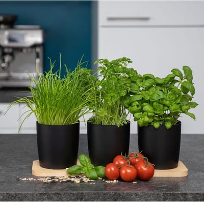 Novaliv Stijlvolle Kruidenstationset van 3 met Houten Onderstel - Kruidenpot voor elke vensterbank, Voor Verse Keukenkruiden, Kruidentuin voor de Keuken, Kruidenperk voor Binnen, Bloembak, Plantenpot
