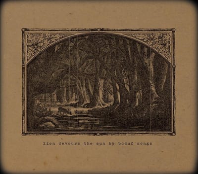Boduf Songs - Lion Devours The Sun (CD)