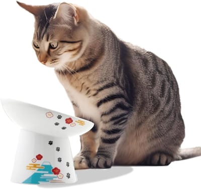 Verhoogde voerbak - Kattenbak - Comfortabel eten - Voorkomt nekvermoeidheid - 15.5 x 14.5 cm - Wit