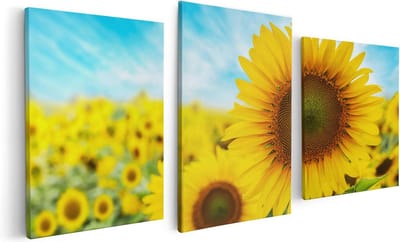 Artaza Canvas Schilderij Drieluik Zonnebloemen Veld  - 120x60 - Foto Op Canvas - Canvas Print