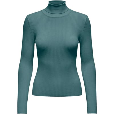 JDY - JDYPLUM L/S ROLL NECK PULLOVER KNT - Dames - Gebreide truien