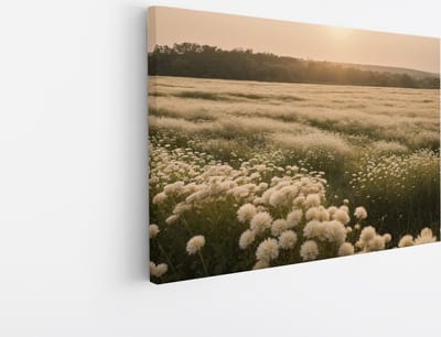 Saammp Canvas Schilderij - Landschap - Wit - Bloemenveld - Natuur - 45x30 - Foto op canvas - Wanddecoratie - Muurdecoratie Woonkamer - Slaapkamer decoratie - Canvas Print