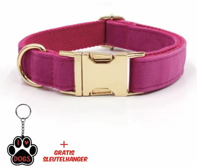 SilverAndCoco® - Fel Roze Honden Halsband met Gratis Sleutelhanger | Velvet Hond Bandje met | Hondenhalsband Suède Gouden | Kleding Decoratie | Hondenbandje Huisdier - Fel Roze / Goud