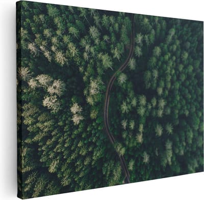 Artaza Canvas Schilderij Bosweg - 40x30 cm - Klein - Wanddecoratie Landschap - Muurdecoratie Natuur - Schilderijen Op Canvas