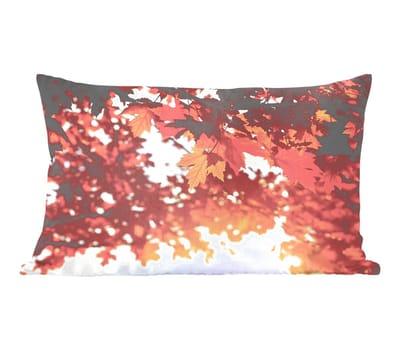 Sierkussens - Kussentjes Woonkamer - 50x30 cm - Herfstbladeren - Landelijke decoratie - Zon