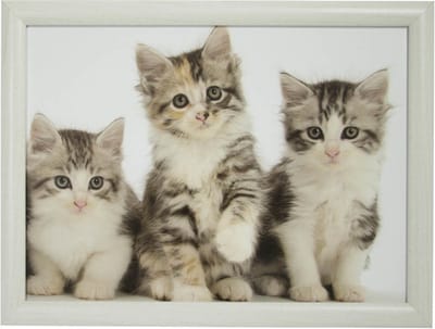Mars & More Schoottafel - 2x - katten/poezen print - 43 x 32 cm - laptray - schootkussen - schootblad - Kat/poes dieren artikelen - Dienblad