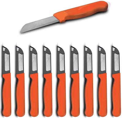 Solingen Schilmesje Robuust Handvat – RVS Glad – 16 cm met Blade Cover – Donker Oranje – 10 stuks