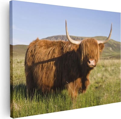 Artaza Canvas Schilderij Hooglander - 40x30 cm - Klein - Wanddecoratie Gewei - Muurdecoratie Natuur - Kamer Accessoires