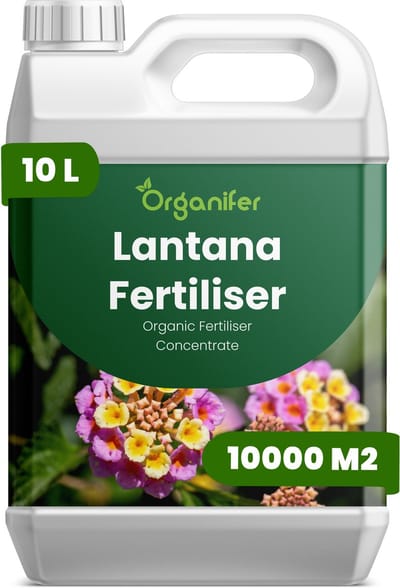 Vloeibare Meststof Voor Lantana 10 Voor 10000 M2 - Npk 2-1-8 - Continue Bloei - Kleurintensiteit - Bloemgrootte - Bloeiduur - Sterke Stengels - Compacte Plant - Hittebestendig - Plantweerbaarhei - Snel Herstel Na Snoei - Organifer
