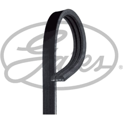 Poly V-riem Micro-V® Stretch Fit® GATES 3PK592SF