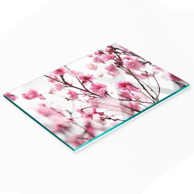 Multifunctionele decoratieve snijplank voor de keuken, gehard glas, pruimenbloesemmotief, 80x52 cm